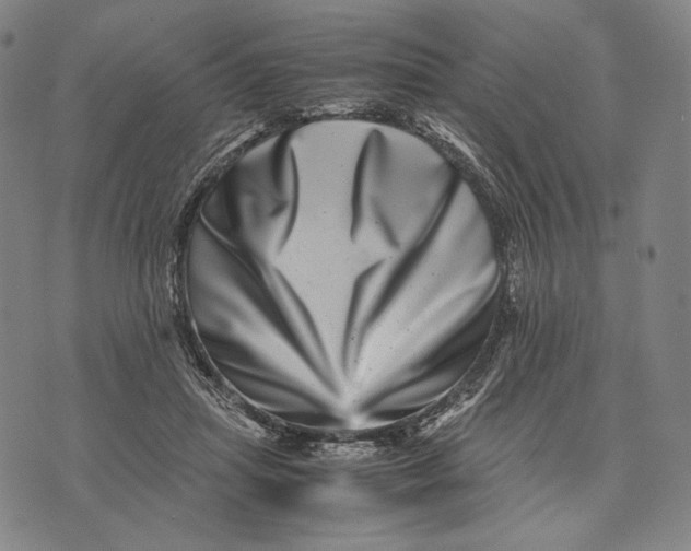 X0000071810455200607211716