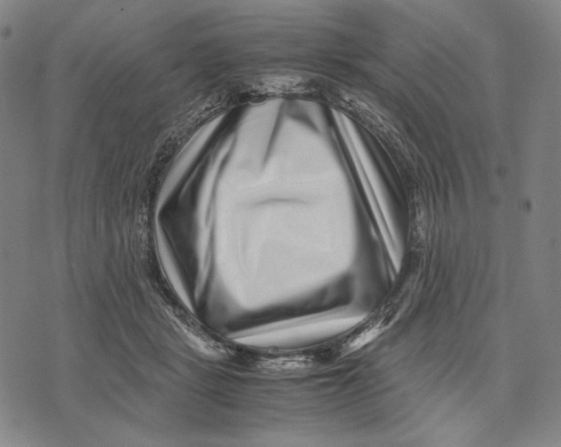 X0000071810461200607211716