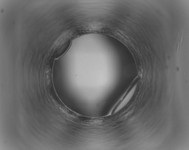 X0000071810462200607211716