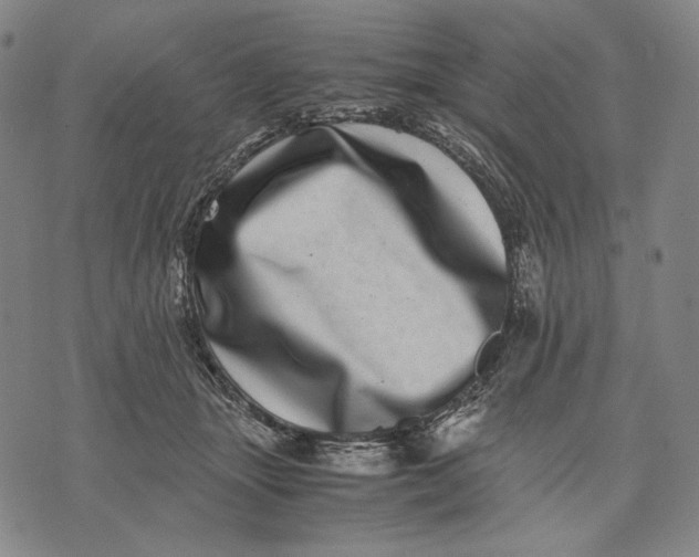 X0000071810463200607211716