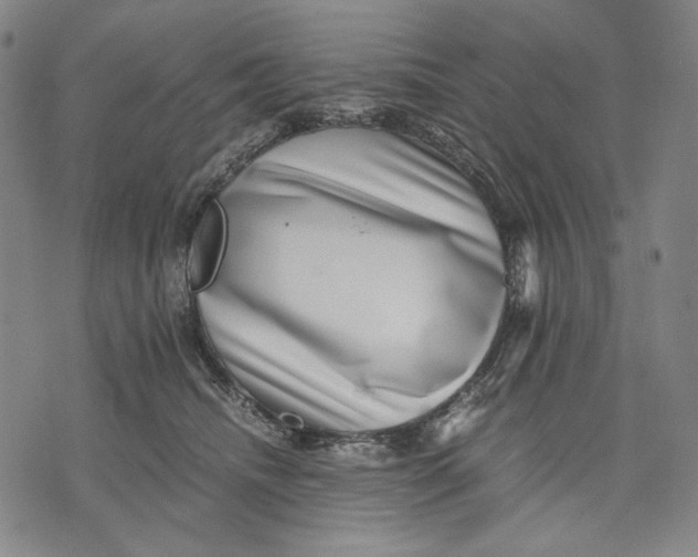 X0000071810468200607211716