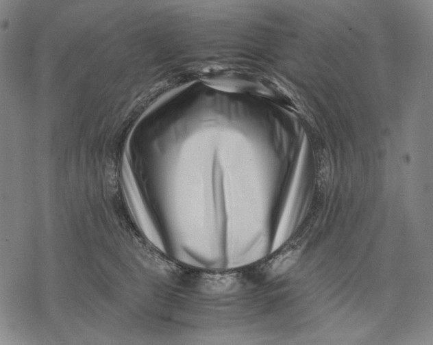 X0000071810469200607211716