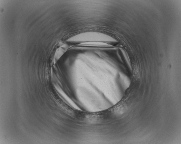 X0000071810470200607211716