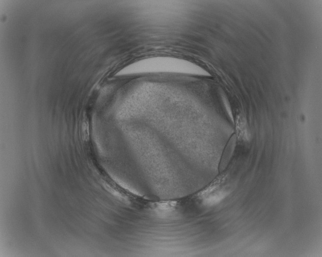 X0000071810474200607211716