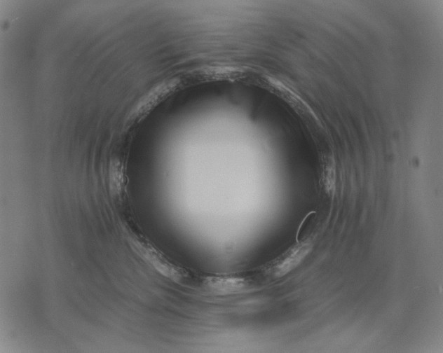 X0000071810476200607211716