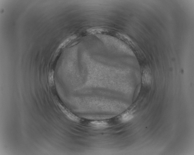 X0000071810477200607211716