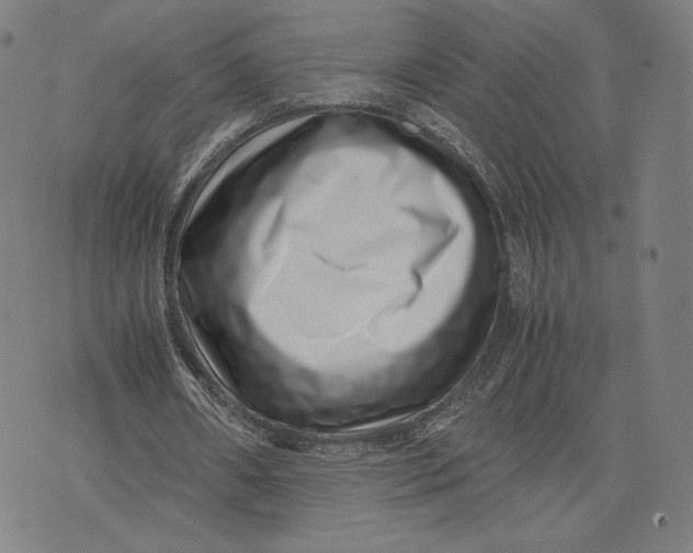 X0000071810482200607211715