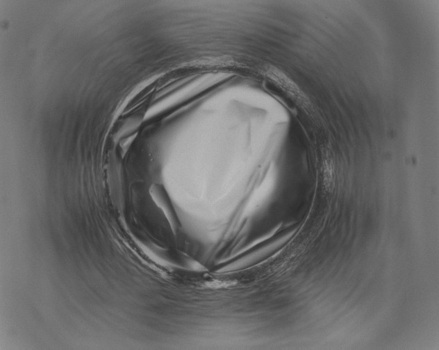 X0000071810484200607211715