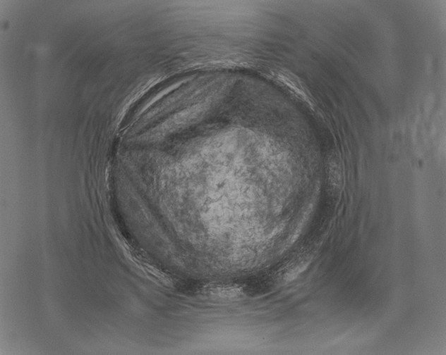 X0000071810491200607211715