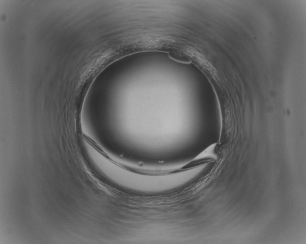 X0000071810493200607211715