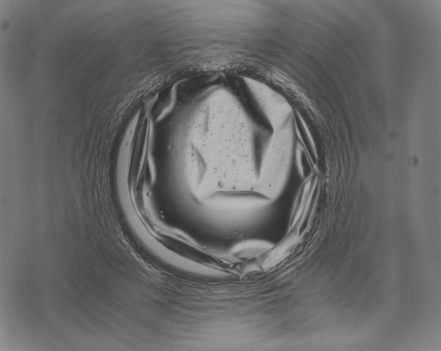 X0000071810497200607211715