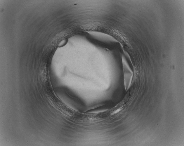 X0000071810498200607211715
