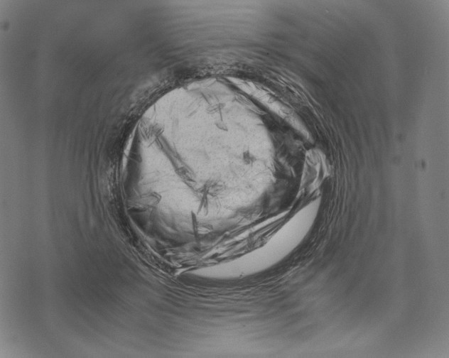 X0000071810503200607211715