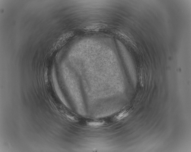 X0000071810504200607211715