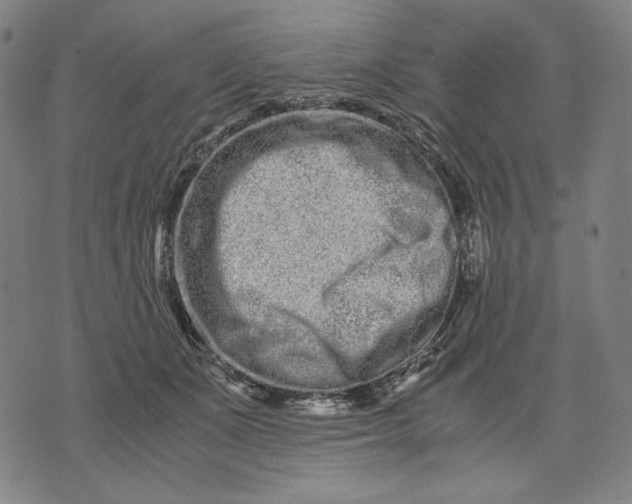 X0000071810511200607211715