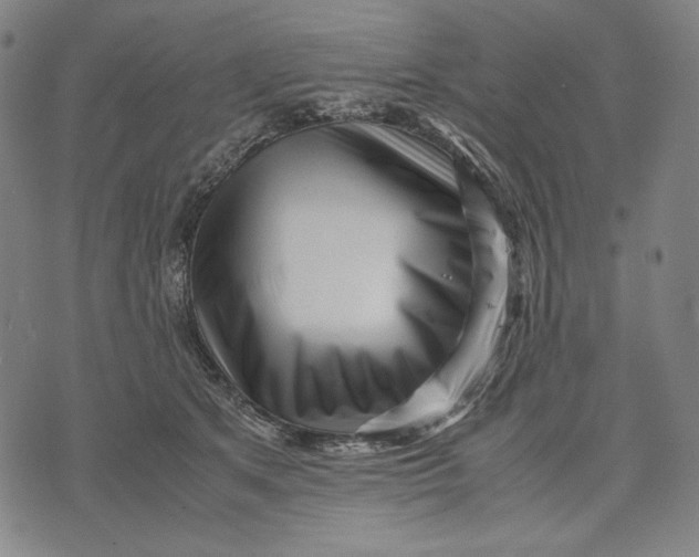 X0000071810513200607211715