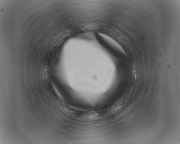 X0000071810514200607211715