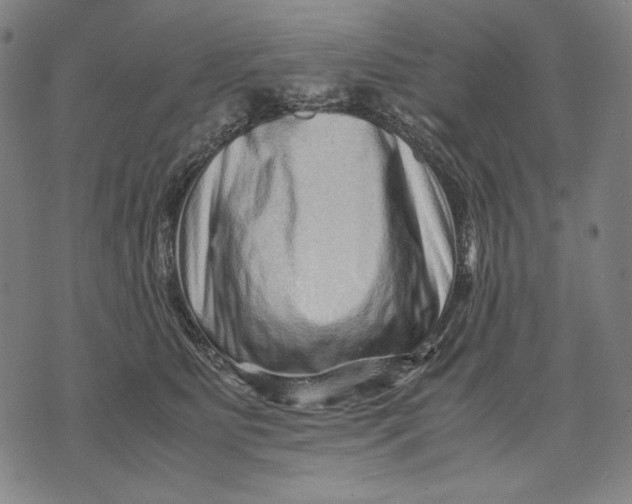 X0000071810515200607211715
