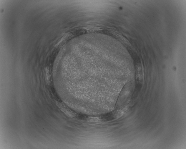 X0000071810519200607211715