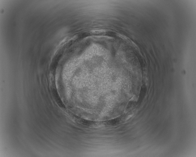 X0000071810523200607211715