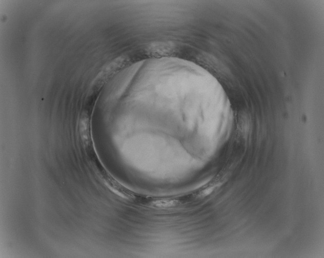 X0000071810526200607211715