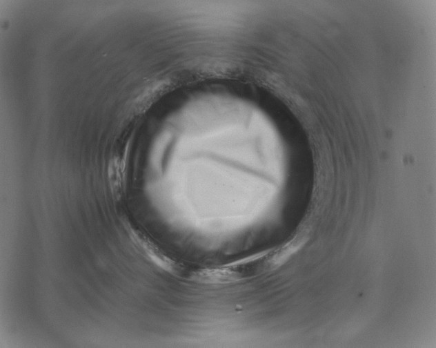 X0000071810528200607211715