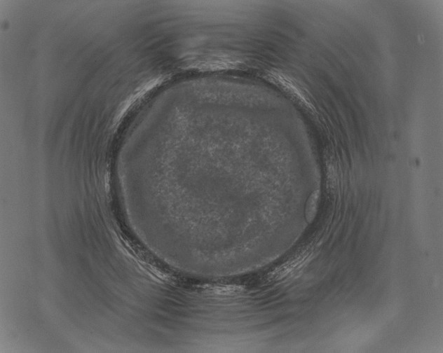 X0000071810539200607211714