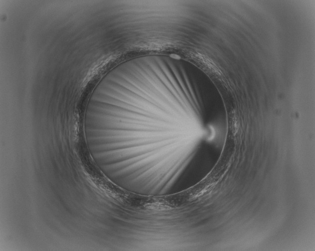 X0000071810544200607211714