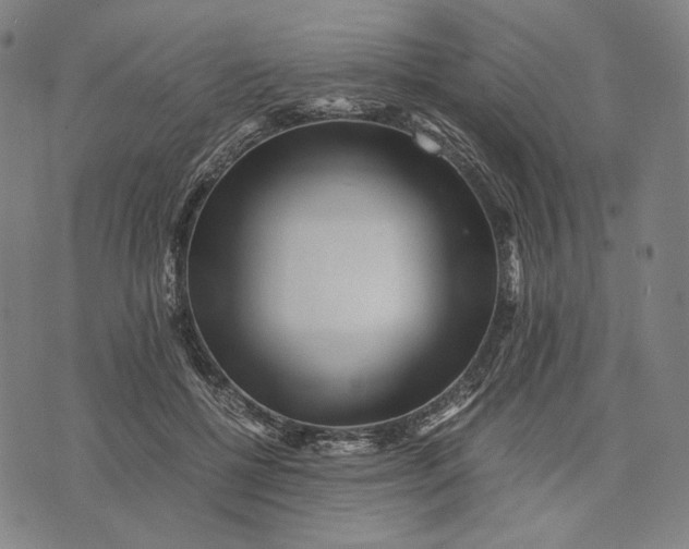 X0000071810552200607211714