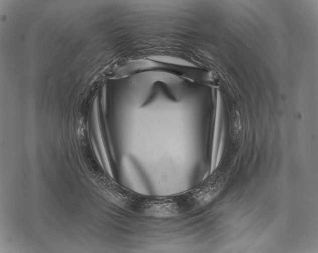 X0000071810555200607211714