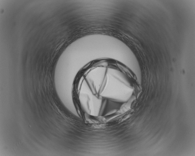 X0000071810560200607211714