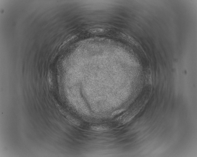 X0000071810561200607211714