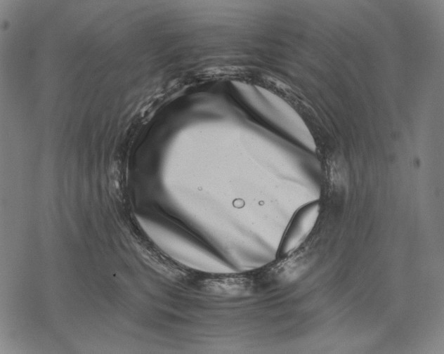 X0000071810567200607211715