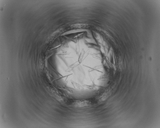 X0000071810569200607211715