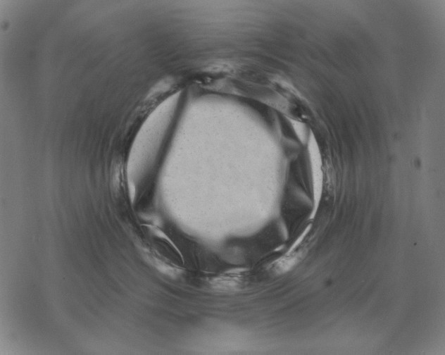 X0000071810574200607211715