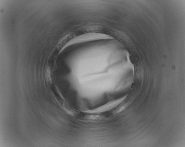 X0000071810575200607211715