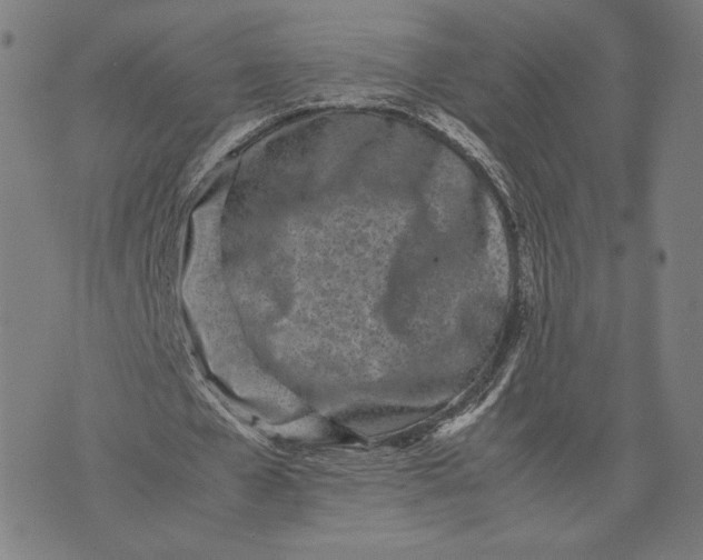 X0000071810577200607211714
