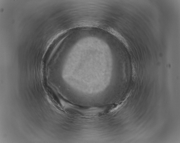 X0000071810580200607211714
