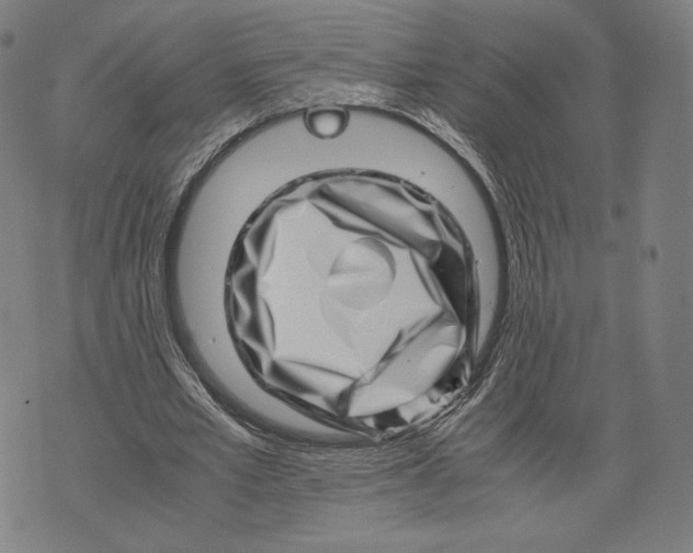 X0000071810581200607211714