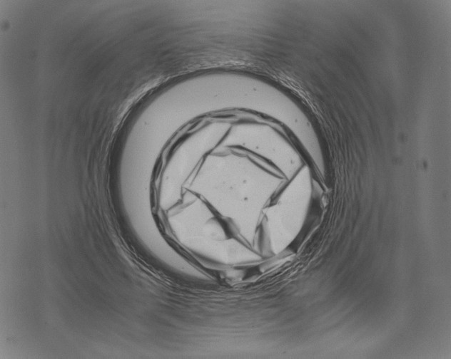 X0000071810587200607211714