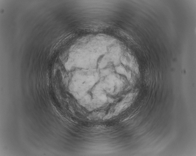 X0000071810594200607211714