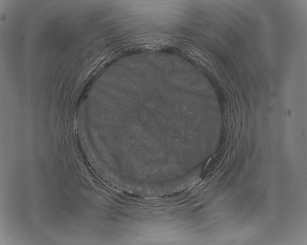 X0000071810595200607211714