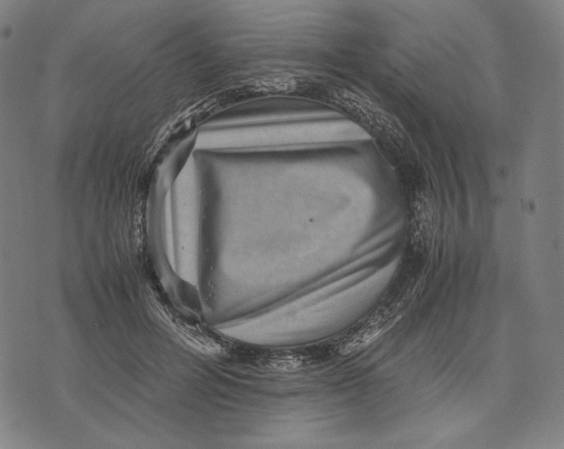 X0000071810600200607211714