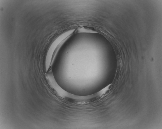 X0000071810611200607211713