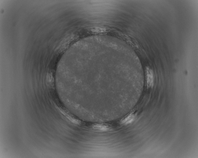 X0000071810614200607211713
