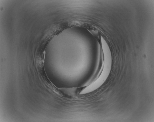 X0000071810617200607211713