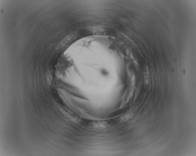 X0000071810618200607211713