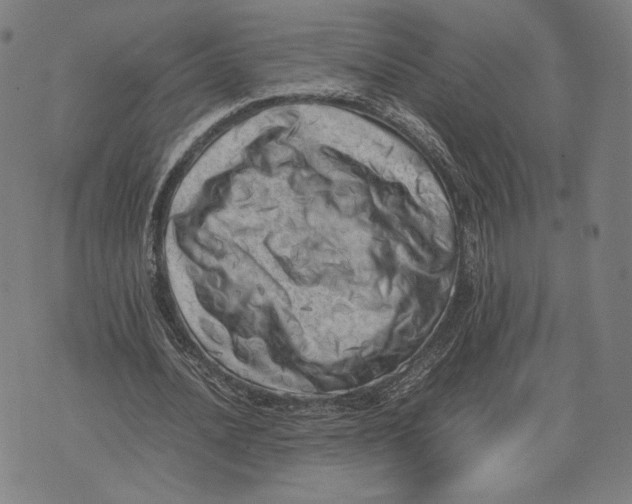 X0000071810628200607211712