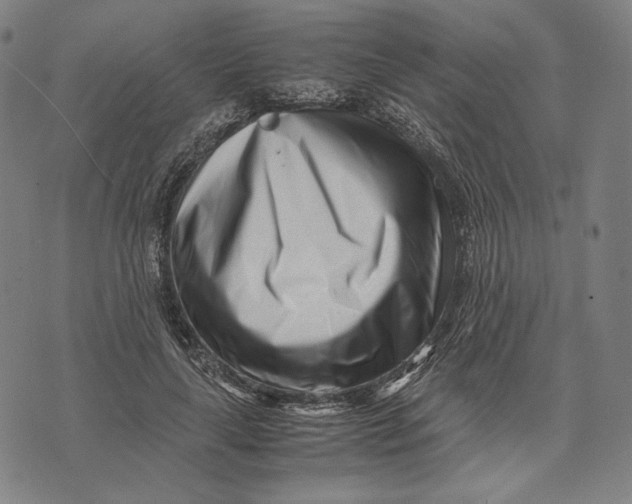 X0000071810643200607211713