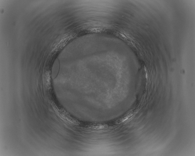 X0000071810646200607211713